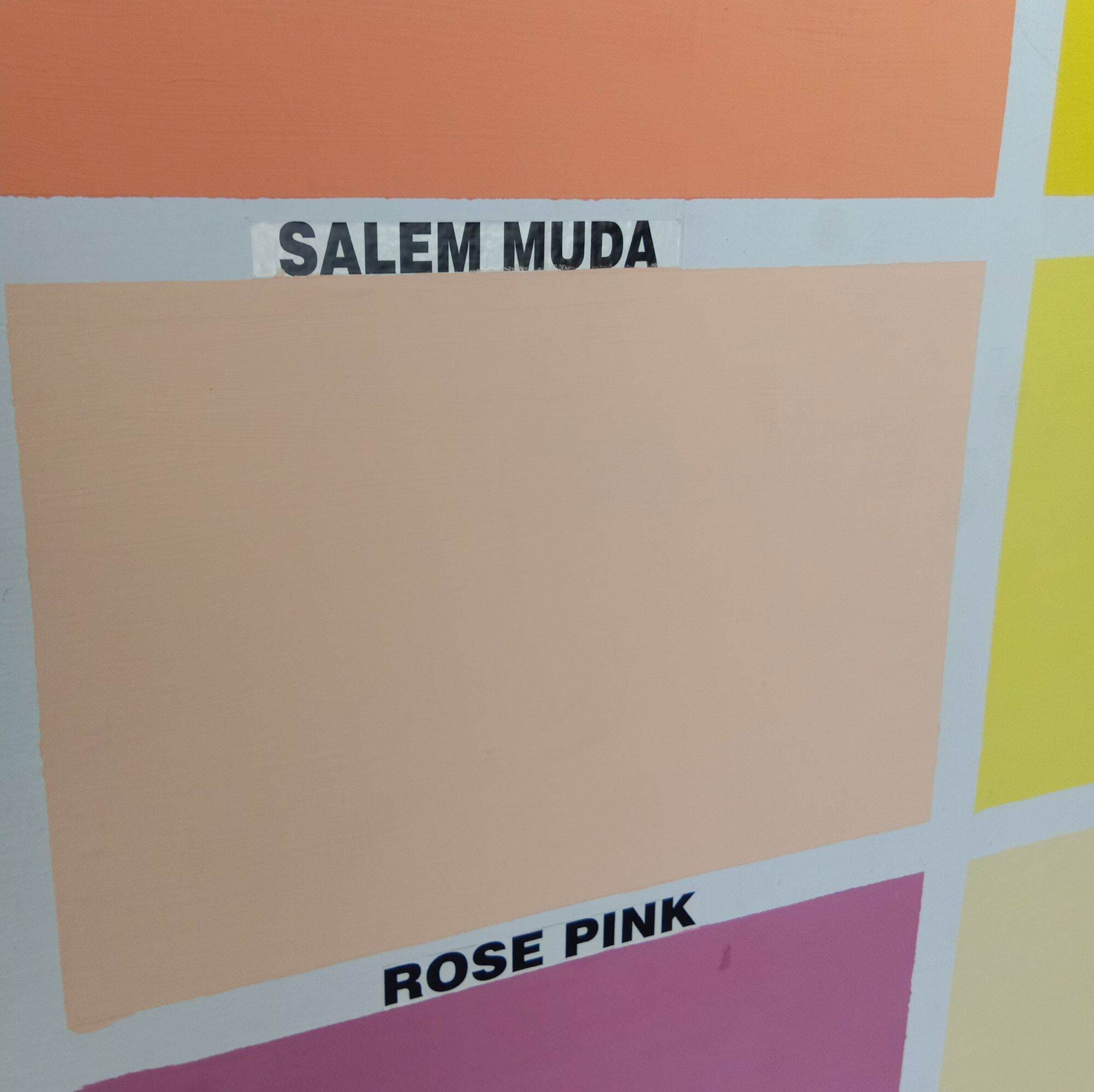 Warna Salem Adalah Bagian dari Warna Pastel. Pahami Jenis dan Bedanya